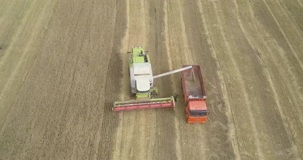 Aerial Motion To Harvester Pouring Cereal Into Lorry