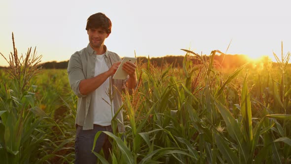 Farmer Studies the Quality of Corn Production in the Field of Agriculture and Uses a Tablet