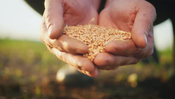 Planting Seeds