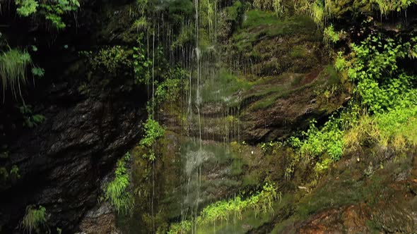 Clean Small Waterfall in the Forest, Beautiful Nature Norway Natural Landscape