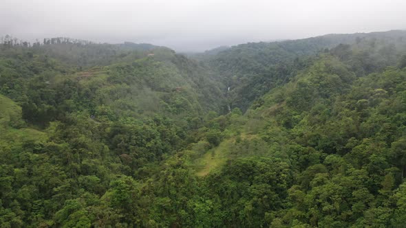Aerial view of waterfall in lush rainforest