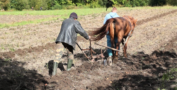 Plowing The Land