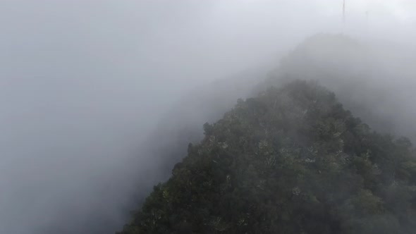 Flying over laurisilva forest in the clouds, Madeira, Portugal