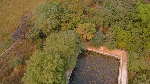 Aerial: pond in a Bangladesh countryside farming land of Jahangirnagar. Shot in 4k.