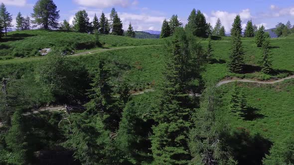 Drone shot of a mountain biker. Riding on a flow trail in Austria. Follow shot from the side.