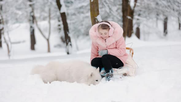 Samoyed Girl with Dog