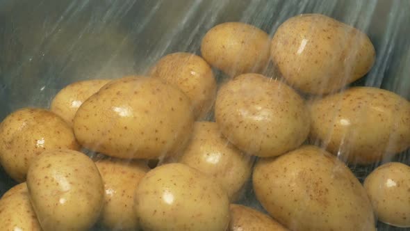 Potatoes Get Washed In Sink