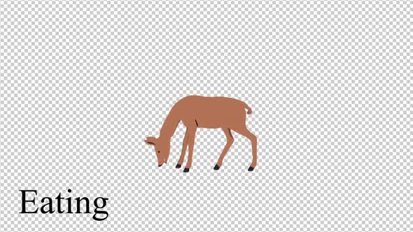 2D Doe Cartoon Pack