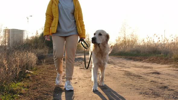 Girl with Golden Retriever Dog