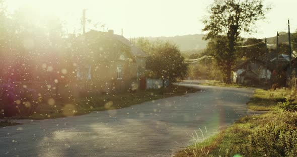 Beautiful Sunset in a Village in Ukraine. Little Insects Flying Down the Street Create a Magical