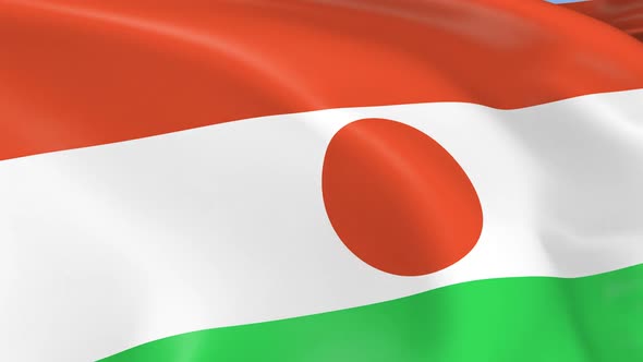 Niger Flag