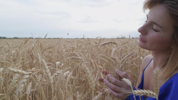 Beautiful Ukrainian Woman Wearing Dress in Ukrainian National Flag Colours Blue and Yellow at Wheat