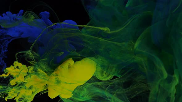 Stream of Blue and Yellow Green Paint Dissolves in a Transparent Space on a Black Background