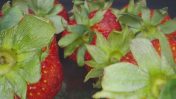 Macro Shot Through Group of Strawberries