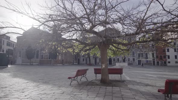 Deserted Lockdown Venice City Square with Branched Bare Tree