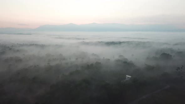 Sea of clouds at the rural area of Karangan, Kedah