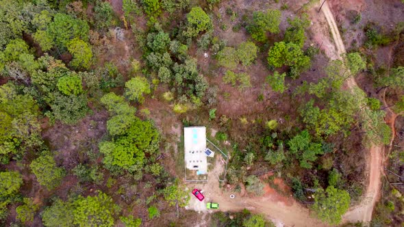 Forest video, top view going down