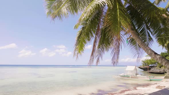 Landscape Palm Tree on Beach and Boat on Shore of Blue Sea