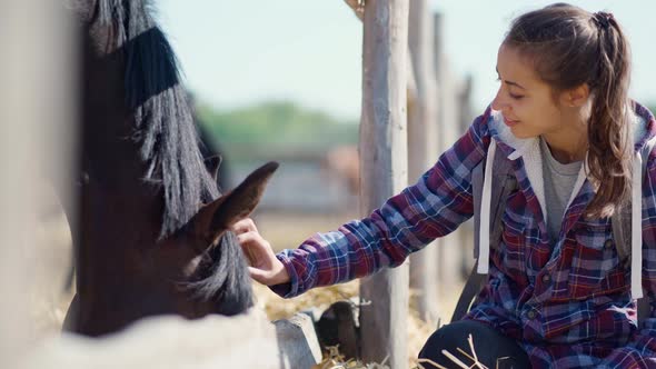 Casual Happy Tender Young Girl Stroking Horse on Countryside Farm or Ranch