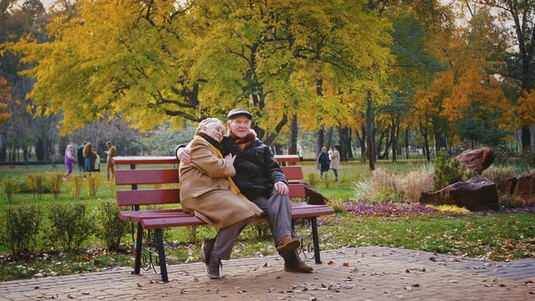 Happy Grandparents are Talking Hugging and Smiling While Sitting on a Bench in Autumn City Park