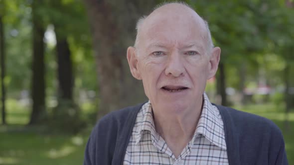 Portrait Cute Grandfather Sitting on a Bench in the Park. Adorable Mature Grandfather Resting on a