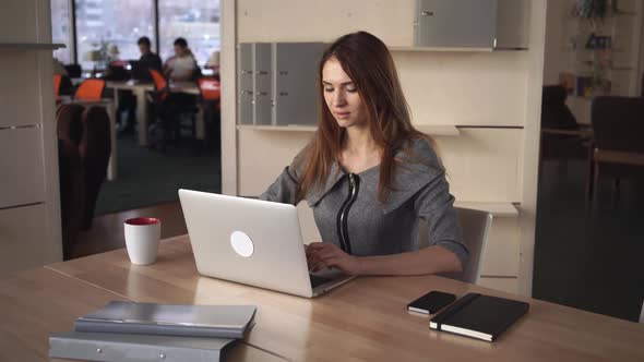 Woman In Grey Dress Working With Computer At At The Office