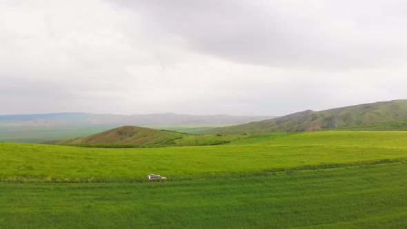 Side View 4wd In Meadow Field