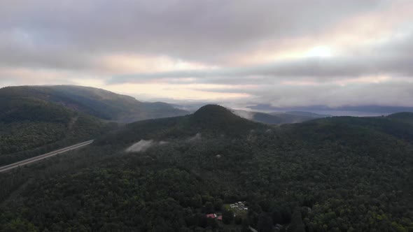 Wide angled view of a Forest in Maine United State of America