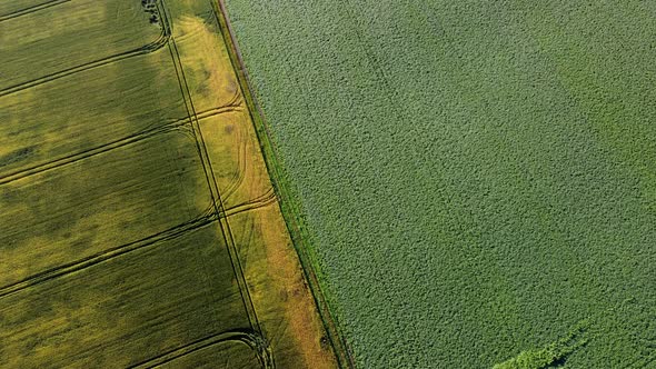 Aerial Drone View Flight Over Different Agricultural Fields