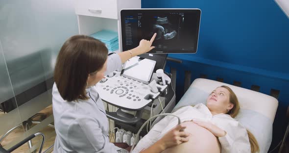 In the Hospital Obstetrician Uses Transducer for Ultrasound Sonogram Screening