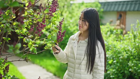 Young Slim Asian Woman Trimming Blooming Tree Branch in Sunny Garden