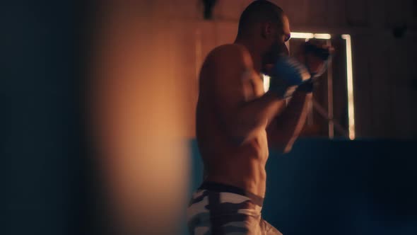 Boxer in Gym