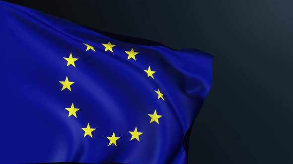 Eu Flag European Union Council of Europe Symbol