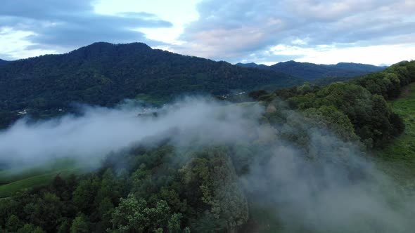Mystic and Foggy Drone Flight Over the Canopy Primary Tropical Rainforest. Birds Eye View