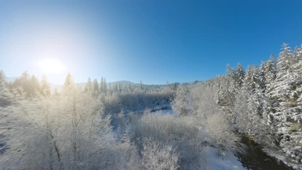 Flight Along a Mountain River Surrounded By a Snowcovered Forest