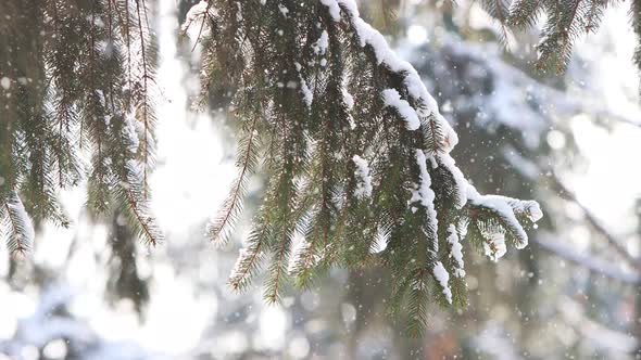 Cozy winter snowy white Christmas