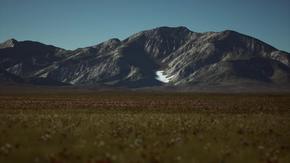 Panoramic View of Alpine Mountain Landscape in the Alps