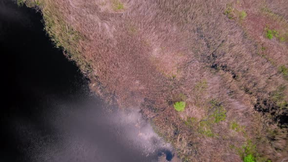 Movement Over Small Wild Islands on the Dnieper River. On a Summer Day.