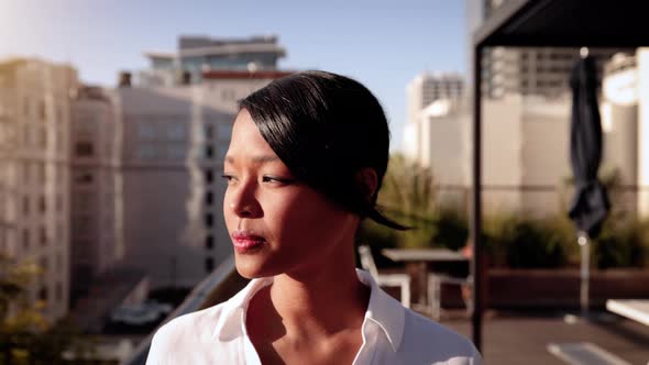 Portrait of a mixed ethnicity business woman