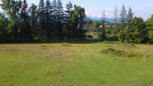 Rugby Stadium In The Summer Village