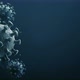 Virus 3D Coronavirus - VideoHive Item for Sale