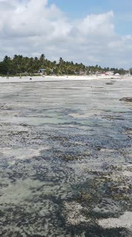 Vertical Video of Low Tide in the Ocean Near the Coast of Zanzibar Tanzania