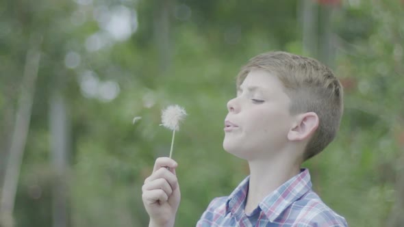 Boy blowing dandelion seedhead