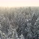 Winter Forest Aerial View Flying Over Snow Covered Spruce Trees on Sunny Day - VideoHive Item for Sale