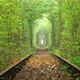 Ukrainian Tunnel of Love - VideoHive Item for Sale
