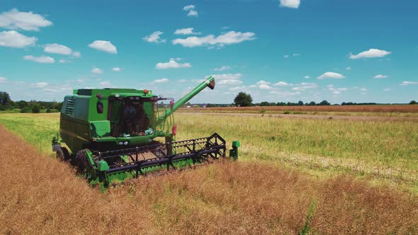 Aerial View of a Farmer's Machine  Green Combine Harvester  During Rapeseed Harvesting