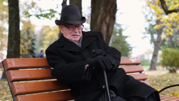 Old Grandfather Sitting in the Park on a Cold Autumn Day