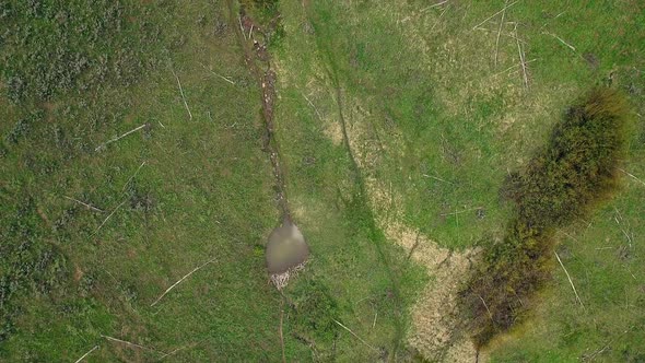 Aerial view looking down at beaver ponds