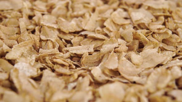 Uncooked dry spelt flakes. Macro. Rotation