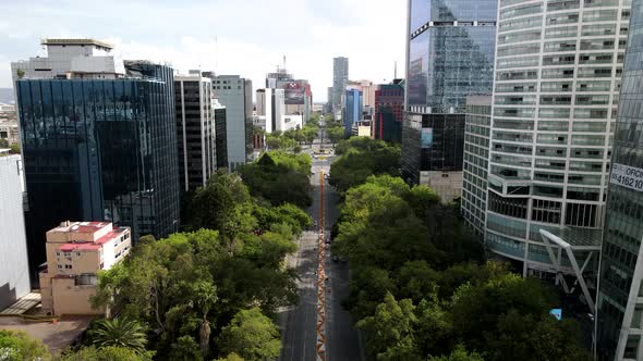 Drone shot above reforma avenue in mexico city with traditional flower sown in the camellon